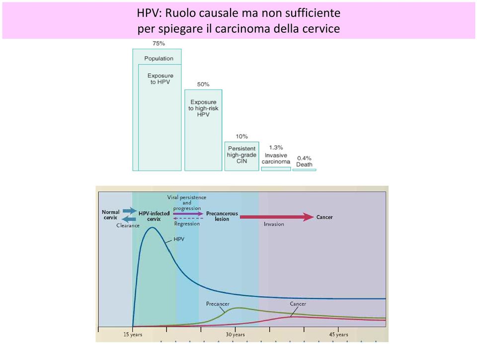 per spiegare il