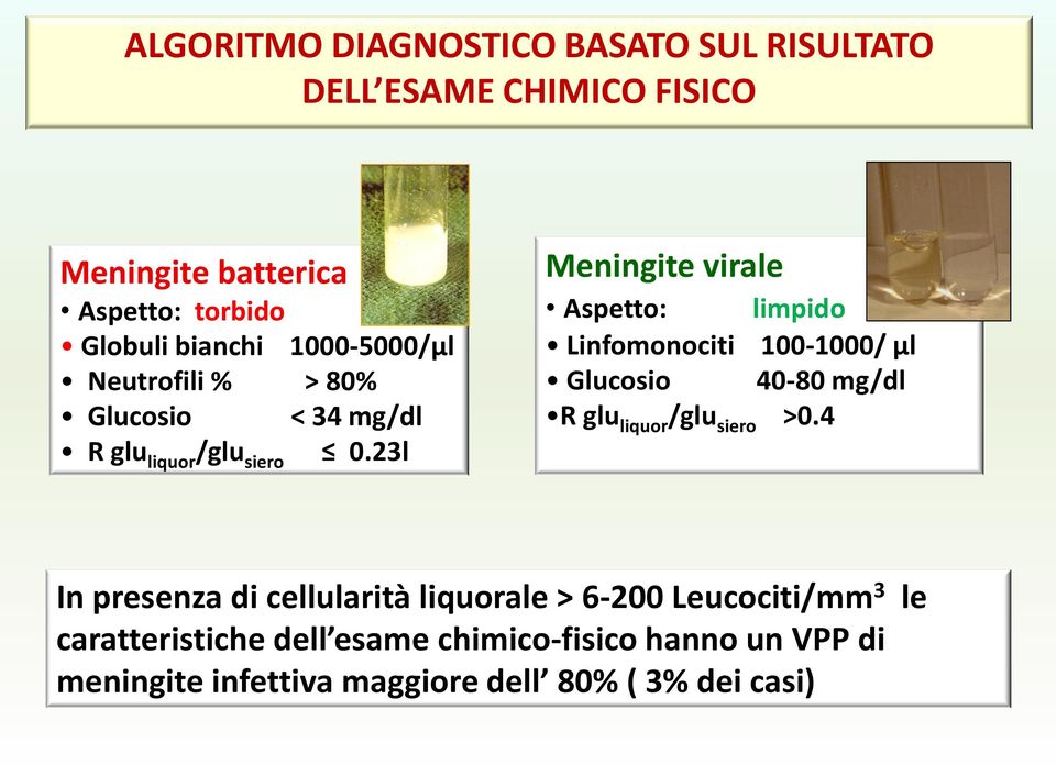 23l Meningite virale Aspetto: limpido Linfomonociti 100-1000/ µl Glucosio 40-80 mg/dl R glu liquor /glu siero >0.