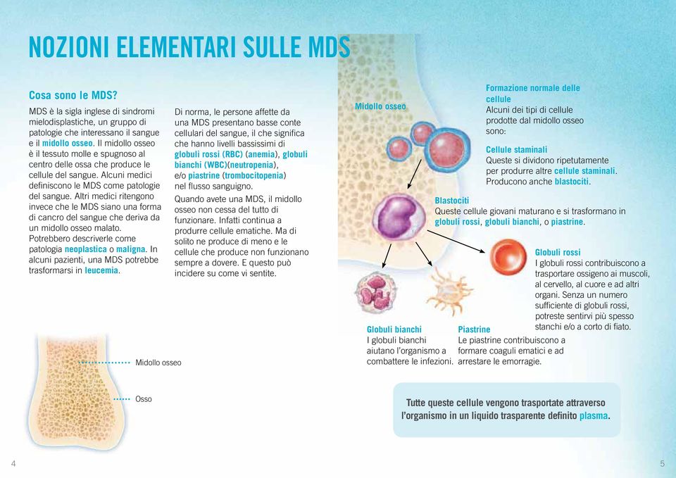 Altri medici ritengono invece che le MDS siano una forma di cancro del sangue che deriva da un midollo osseo malato. Potrebbero descriverle come patologia neoplastica o maligna.