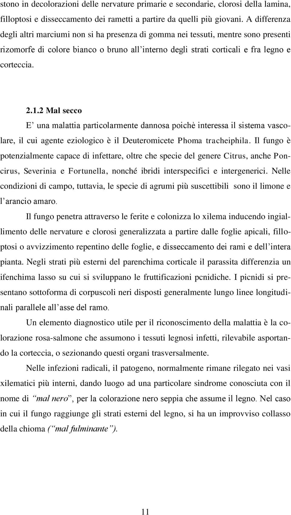 2 Mal secco E una malattia particolarmente dannosa poichè interessa il sistema vascolare, il cui agente eziologico è il Deuteromicete Phoma tracheiphila.