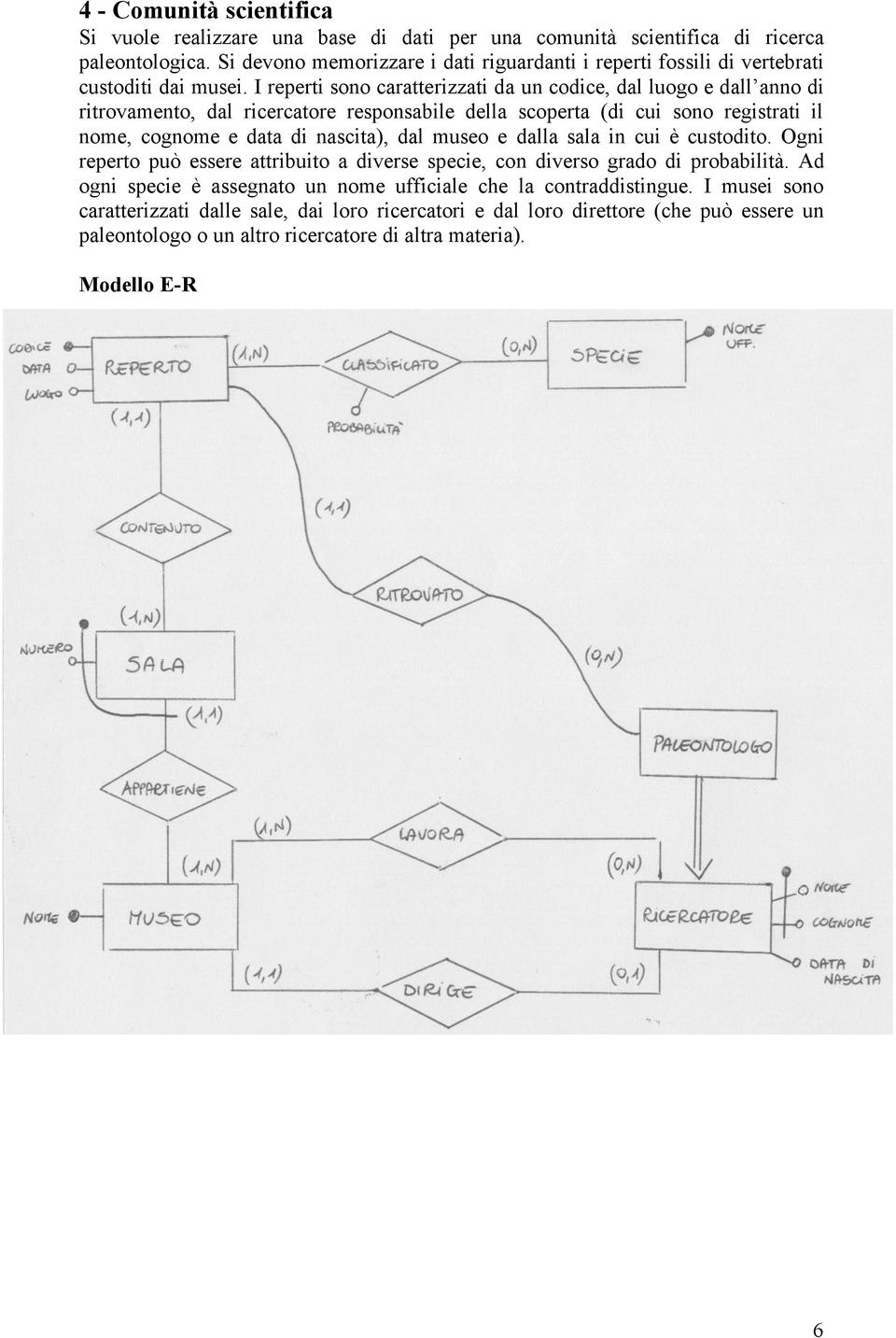 I reperti sono caratterizzati da un codice, dal luogo e dall anno di ritrovamento, dal ricercatore responsabile della scoperta (di cui sono registrati il nome, cognome e data di nascita),