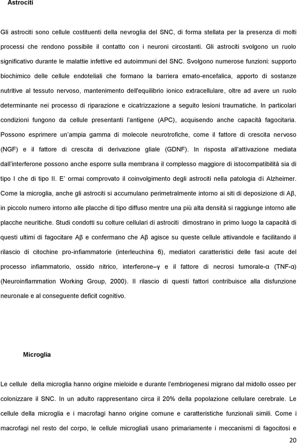 Svolgono numerose funzioni: supporto biochimico delle cellule endoteliali che formano la barriera emato-encefalica, apporto di sostanze nutritive al tessuto nervoso, mantenimento dell'equilibrio