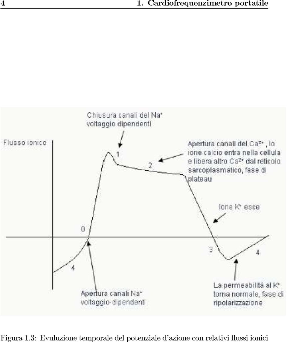 3: Evuluzione temporale del