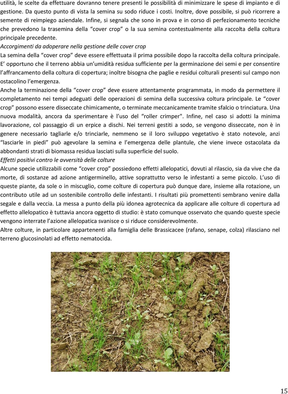 Infine, si segnala che sono in prova e in corso di perfezionamento tecniche che prevedono la trasemina della cover crop o la sua semina contestualmente alla raccolta della coltura principale