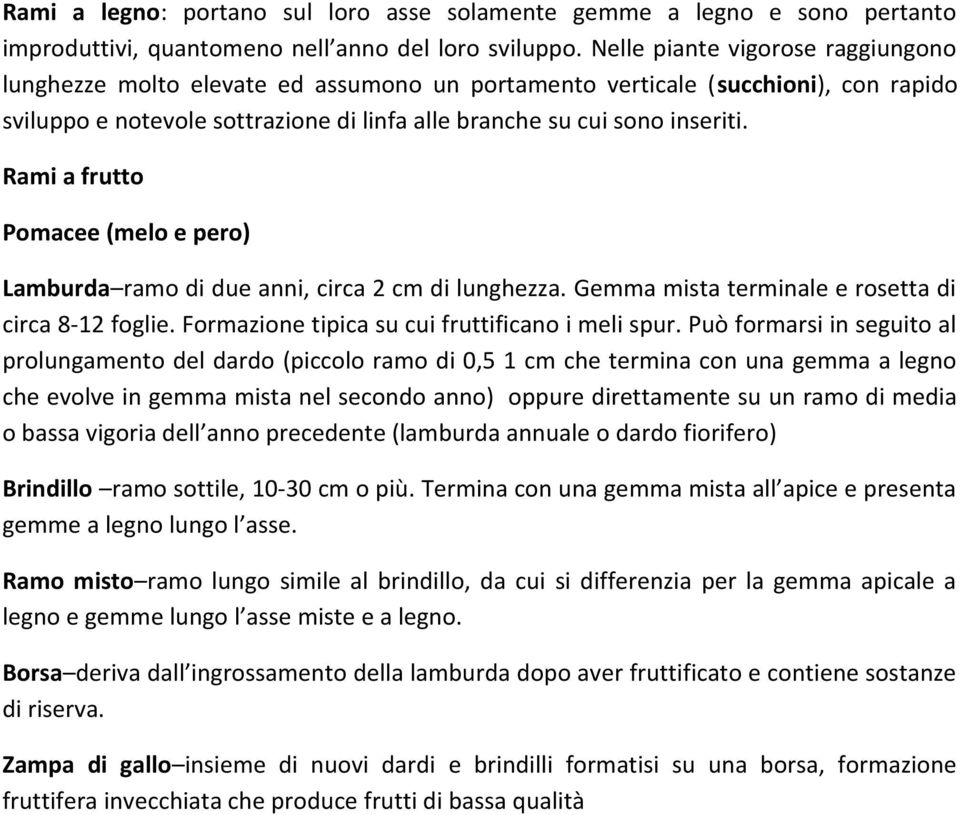 Rami a frutto Pomacee (melo e pero) Lamburda ramo di due anni, circa 2 cm di lunghezza. Gemma mista terminale e rosetta di circa 8-12 foglie. Formazione tipica su cui fruttificano i meli spur.