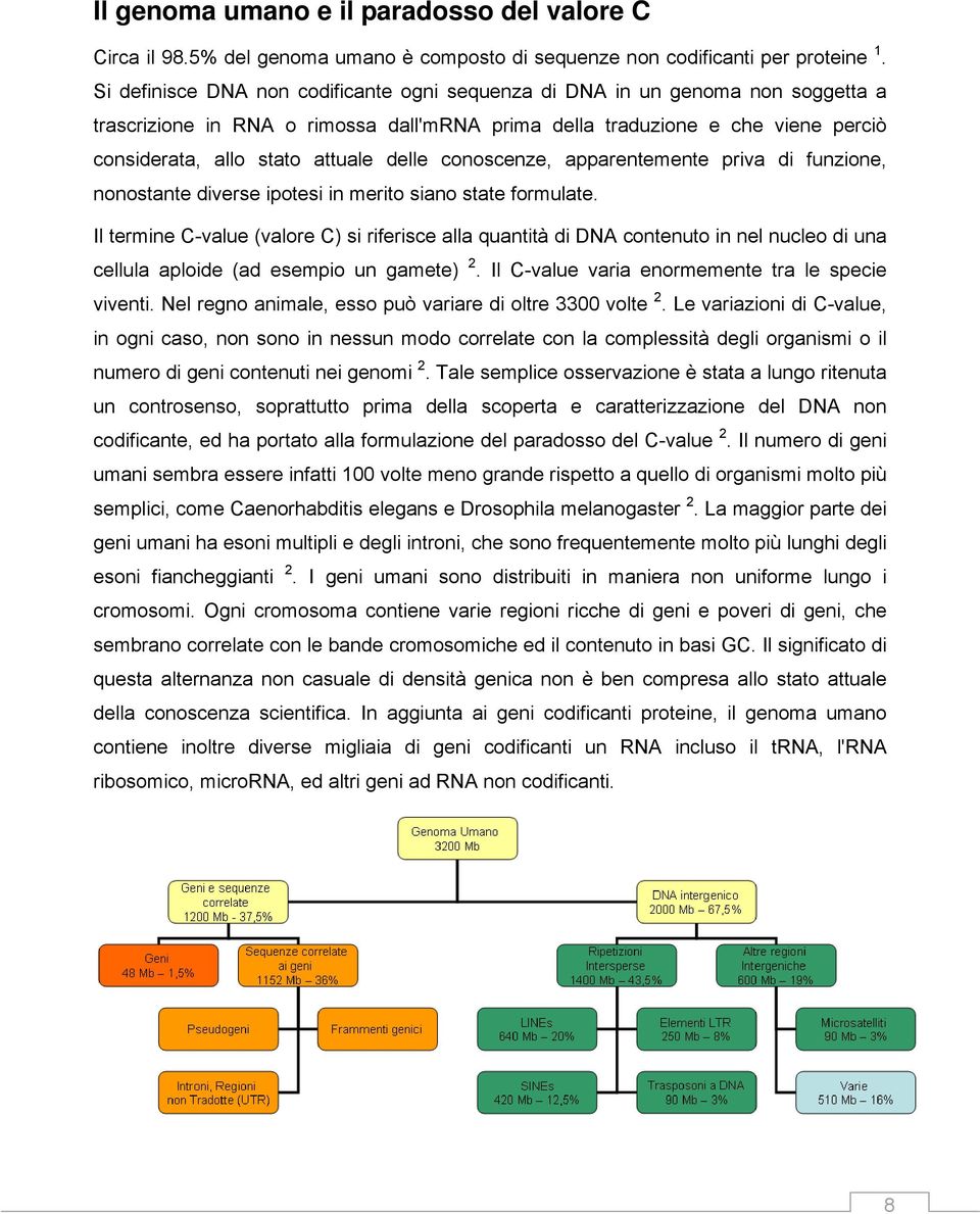 delle conoscenze, apparentemente priva di funzione, nonostante diverse ipotesi in merito siano state formulate.