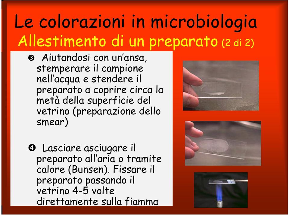 superficie del vetrino (preparazione dello smear) Lasciare asciugare il preparato all aria o