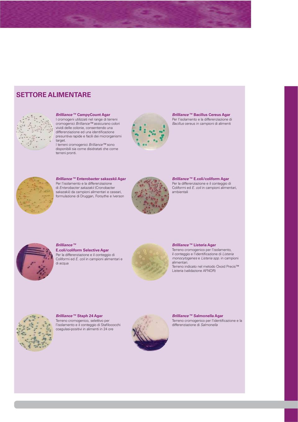 Brilliance Bacillus Cereus Agar Per l isolamento e la differenziazione di Bacillus cereus in campioni di alimenti Brilliance Enterobacter sakazakii Agar Per l isolamento e la differenziazione di