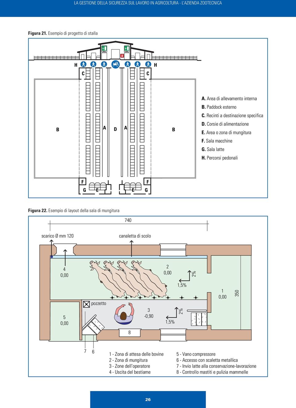 Esempio di layout della sala di mungitura 740 scarico Ø mm 120 canaletta di scolo 4 0,00 2 0,00 2% 5 0,00 pozzetto 3-0,90 1,5% 1,5% 2% 1 0,00 350 8 7 6 1 - Zona di attesa delle bovine 2 -