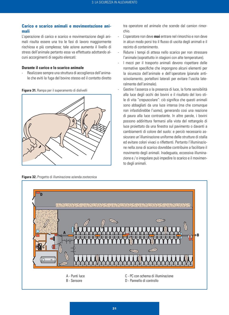 - Realizzare sempre una struttura di accoglienza dell animale che eviti la fuga del bovino stesso ed il contatto diretto Figura 31.