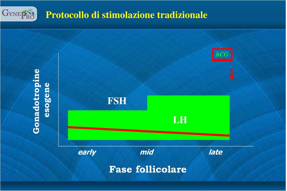 hcg FSH LH Gonadotropine