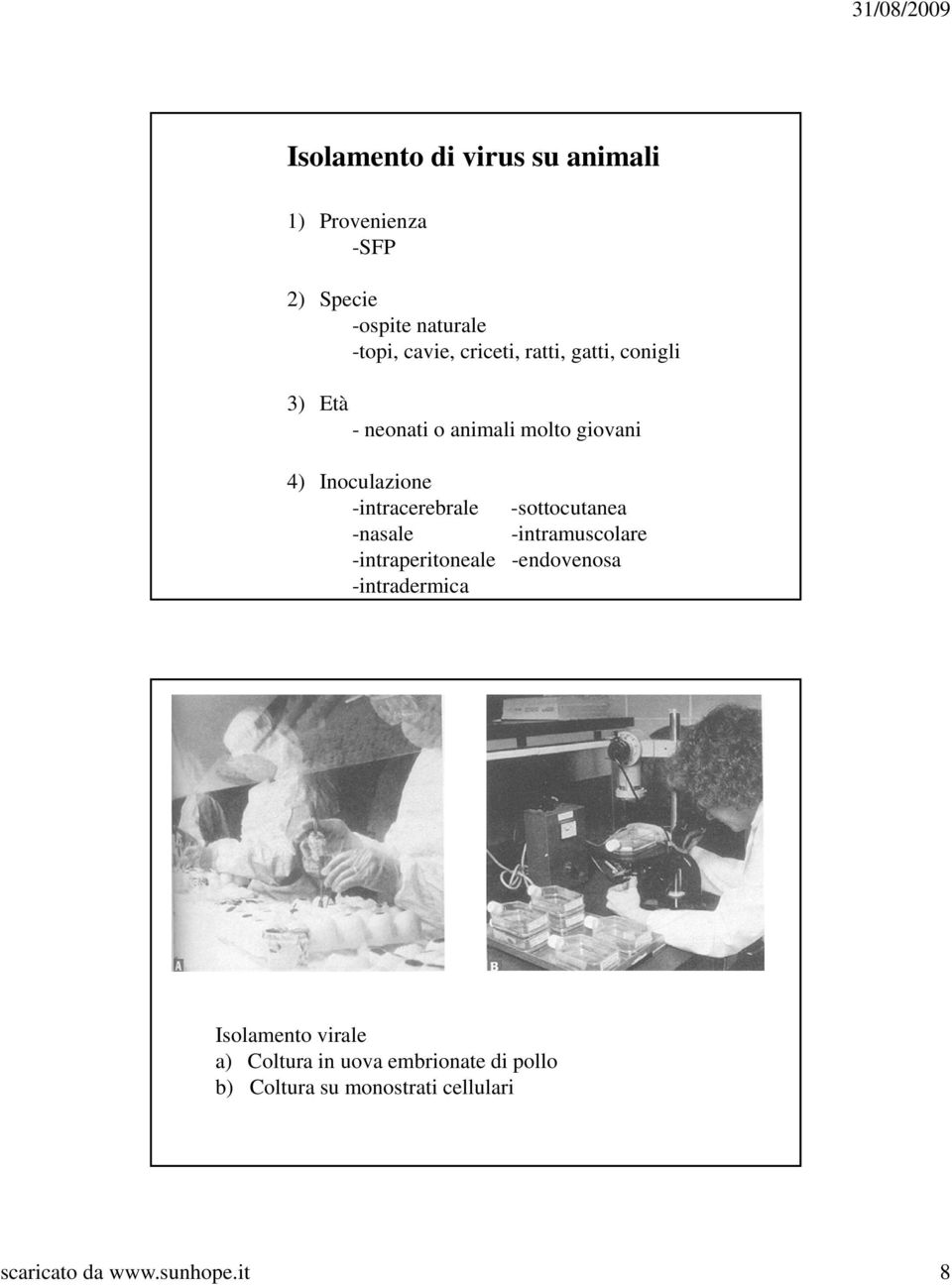 -intracerebrale -sottocutanea -nasale -intramuscolare -intraperitoneale -endovenosa -intradermica