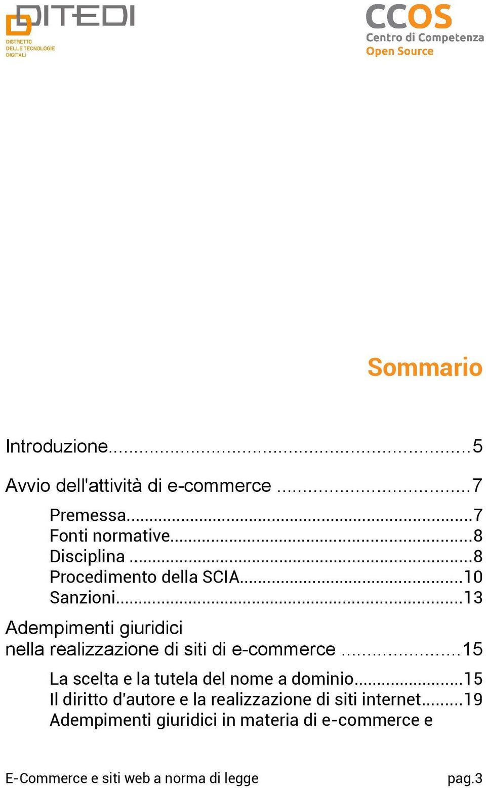 ..13 Adempimenti giuridici nella realizzazione di siti di e-commerce.