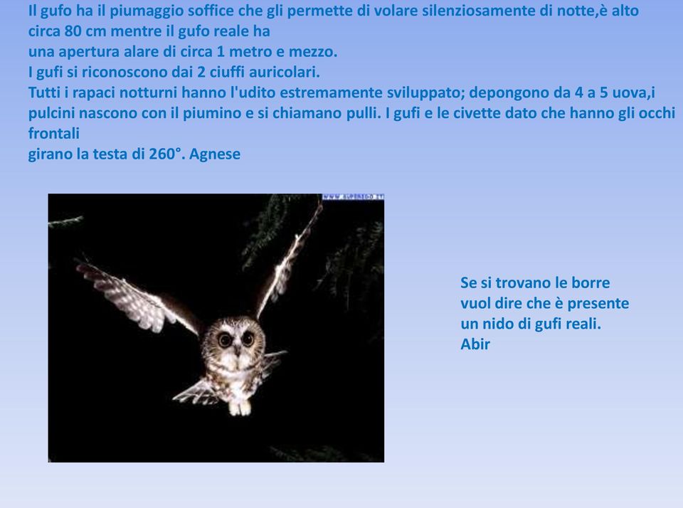 Tutti i rapaci notturni hanno l'udito estremamente sviluppato; depongono da 4 a 5 uova,i pulcini nascono con il piumino e si