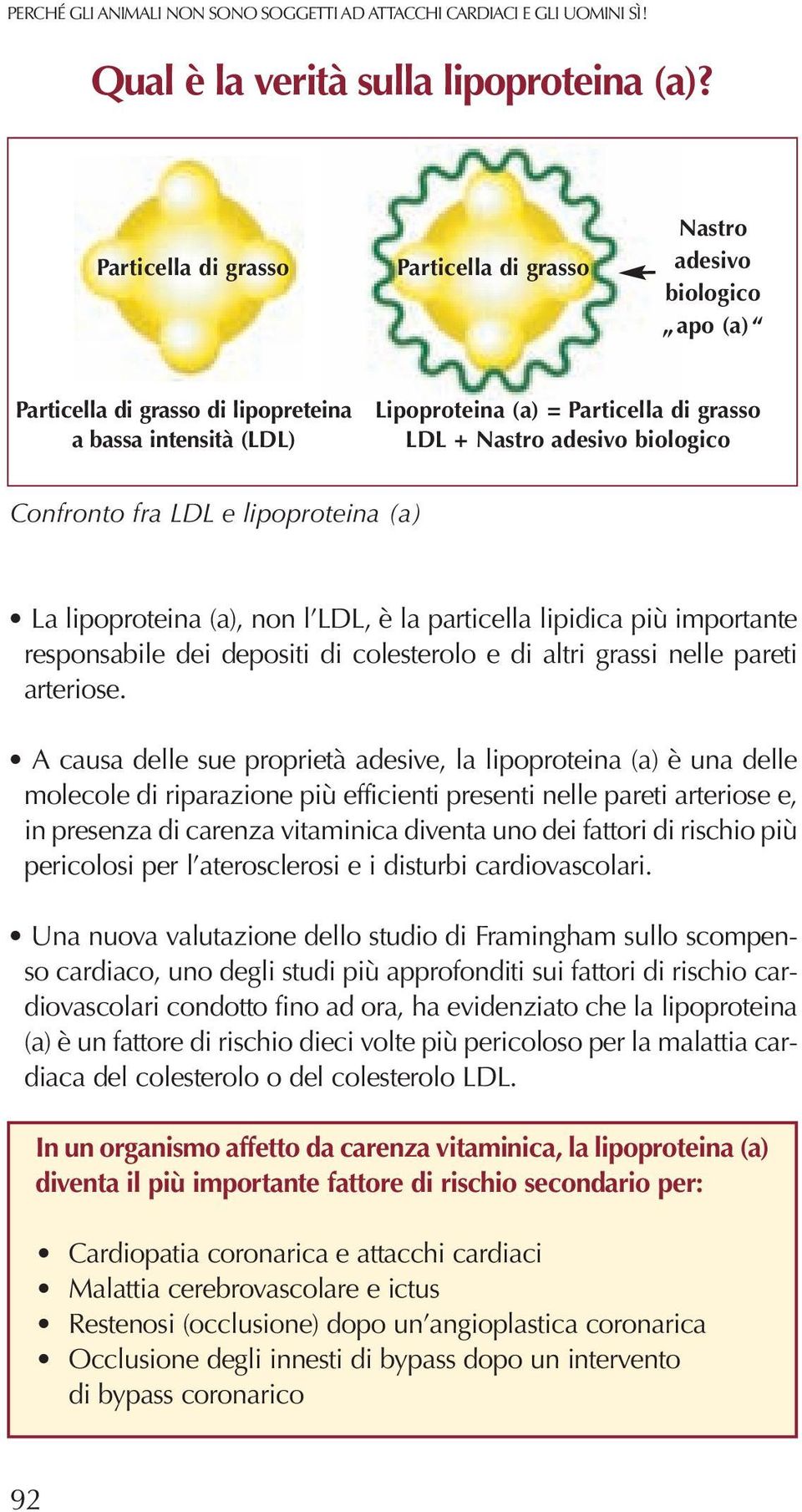 biologico Confronto fra LDL e lipoproteina (a) La lipoproteina (a), non l LDL, è la particella lipidica più importante responsabile dei depositi di colesterolo e di altri grassi nelle pareti