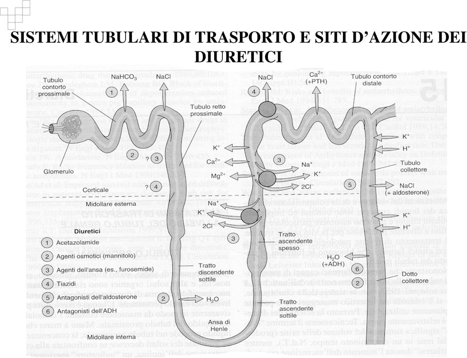 TRASPORTO E