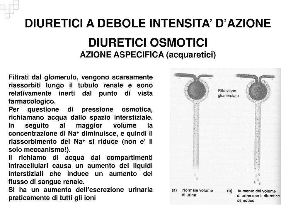 In seguito al maggior volume la concentrazione di Na + diminuisce, e quindi il riassorbimento del Na + si riduce (non e il solo meccanismo!).