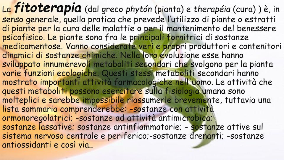 Nella loro evoluzione esse hanno sviluppato innumerevoli metaboliti secondari che svolgono per la pianta varie funzioni ecologiche.