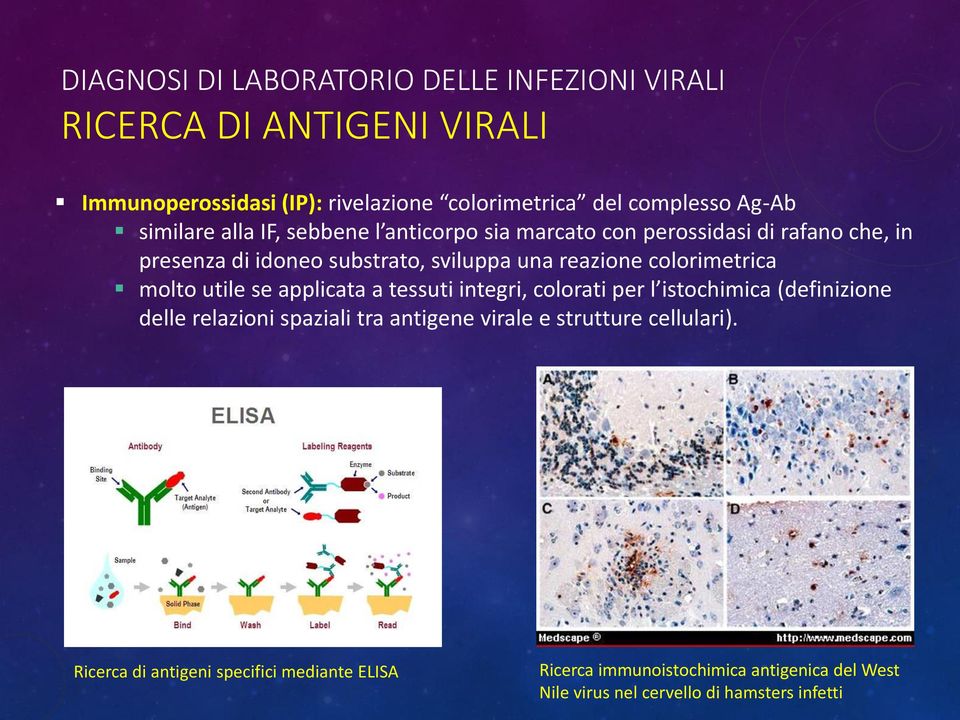 colorimetrica molto utile se applicata a tessuti integri, colorati per l istochimica (definizione delle relazioni spaziali tra antigene virale e