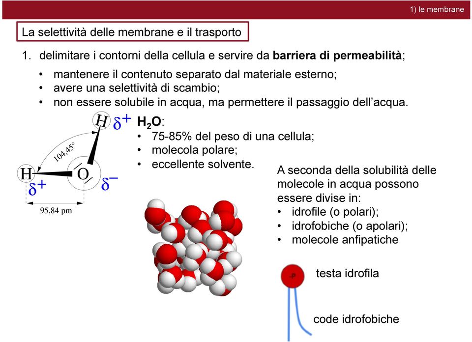 una selettività di scambio; non essere solubile in acqua, ma permettere il passaggio dell acqua.