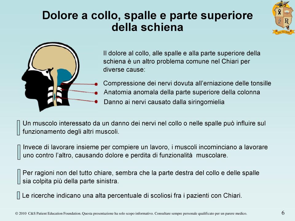 nelle spalle può influire sul funzionamento degli altri muscoli.