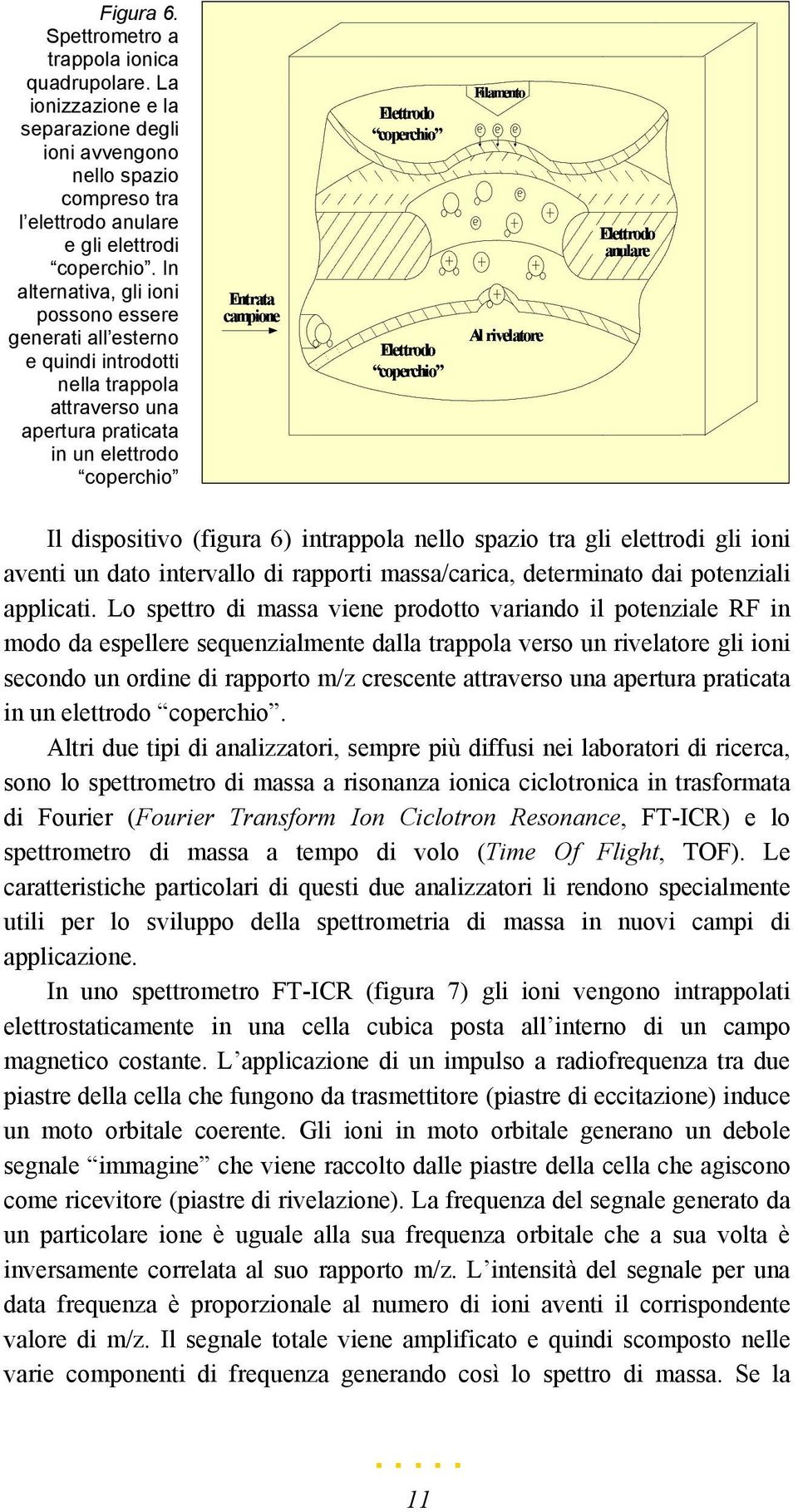 Elettrodo coperchio Filamento Al rivelatore Elettrodo anulare Il dispositivo (figura 6) intrappola nello spazio tra gli elettrodi gli ioni aventi un dato intervallo di rapporti massa/carica,