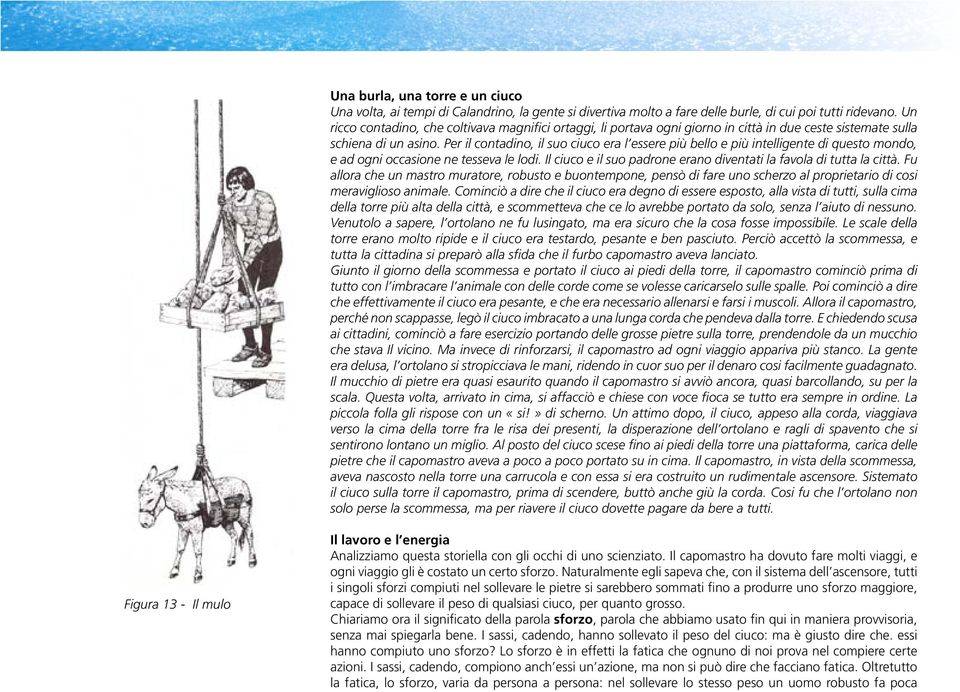 Per il contadino, il suo ciuco era l essere più bello e più intelligente di questo mondo, e ad ogni occasione ne tesseva le lodi. Il ciuco e il suo padrone erano diventati la favola di tutta la città.