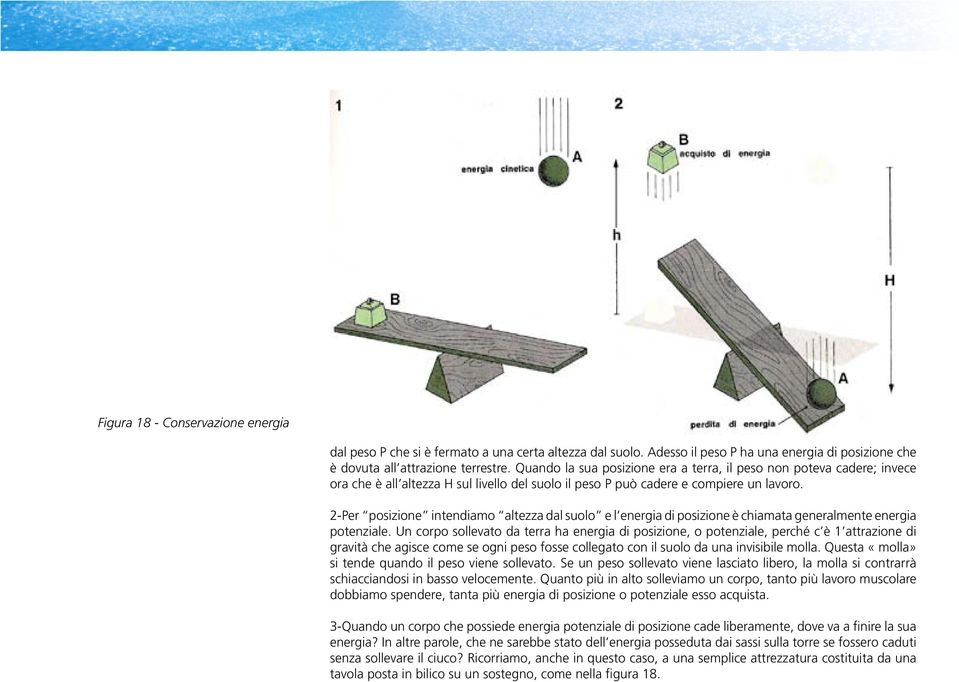 2-Per posizione intendiamo altezza dal suolo e l energia di posizione è chiamata generalmente energia potenziale.