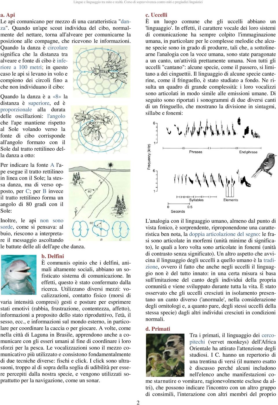 Quando la danza è circolare significa che la distanza tra alveare e fonte di cibo è inferiore a 100 metri; in questo caso le api si levano in volo e compiono dei circoli fino a che non individuano il