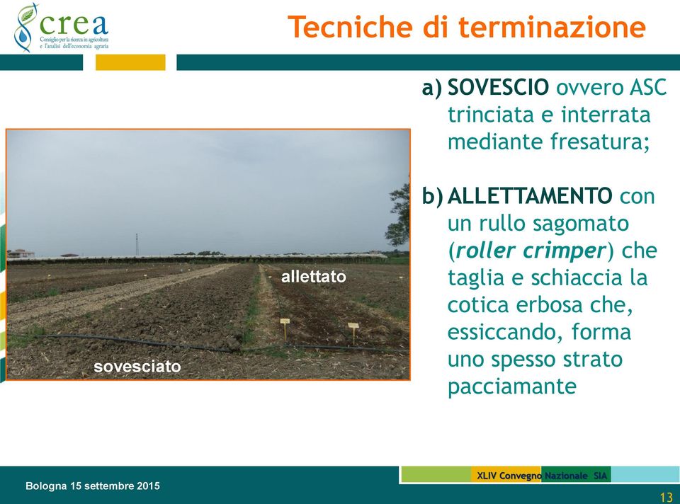 ALLETTAMENTO con un rullo sagomato (roller crimper) che taglia e