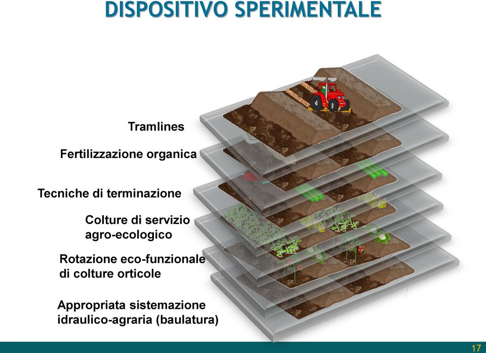 agro-ecologico Rotazione eco-funzionale di colture