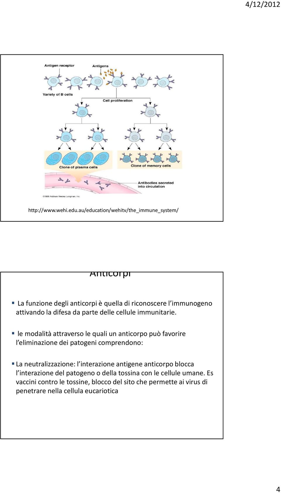 difesa da parte delle cellule immunitarie.