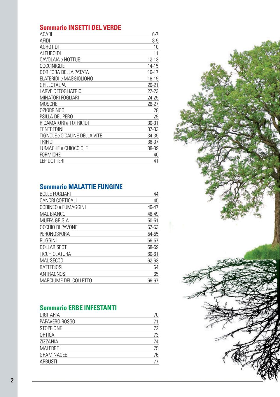FORMICHE 40 LEPIDOTTERI 41 BOLLE FOGLIARI 44 CANCRI CORTICALI 45 CORINEO e FUMAGGINI 46-47 MAL BIANCO 48-49 MUFFA GRIGIA 50-51 OCCHIO DI PAVONE 52-53 PERONOSPORA 54-55 RUGGINI 56-57 DOLLAR SPOT