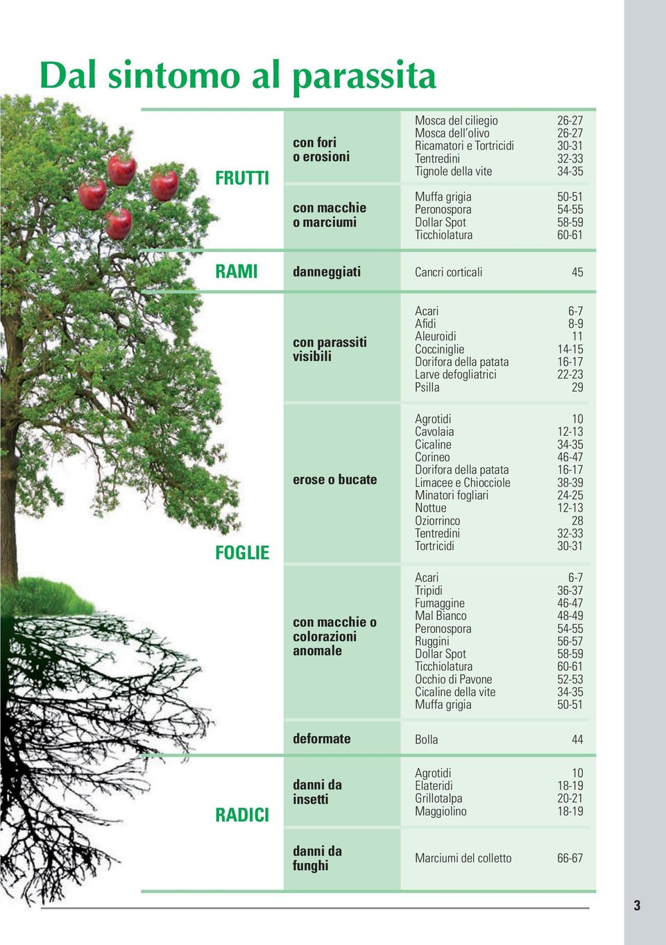 Corineo 46-47 Dorifora della patata 16-17 Limacee e Chiocciole 38-39 Minatori fogliari 24-25 Nottue 12-13 Oziorrinco 28 Tentredini 32-33 Tortricidi 30-31 Acari 6-7 Tripidi 36-37 Fumaggine 46-47 Mal