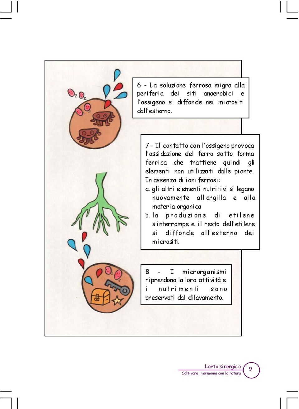 ante. In assenza di ioni ferrosi: a. gli altri elementi nutritivi si legano nuovamente all argilla e alla materia organica b.