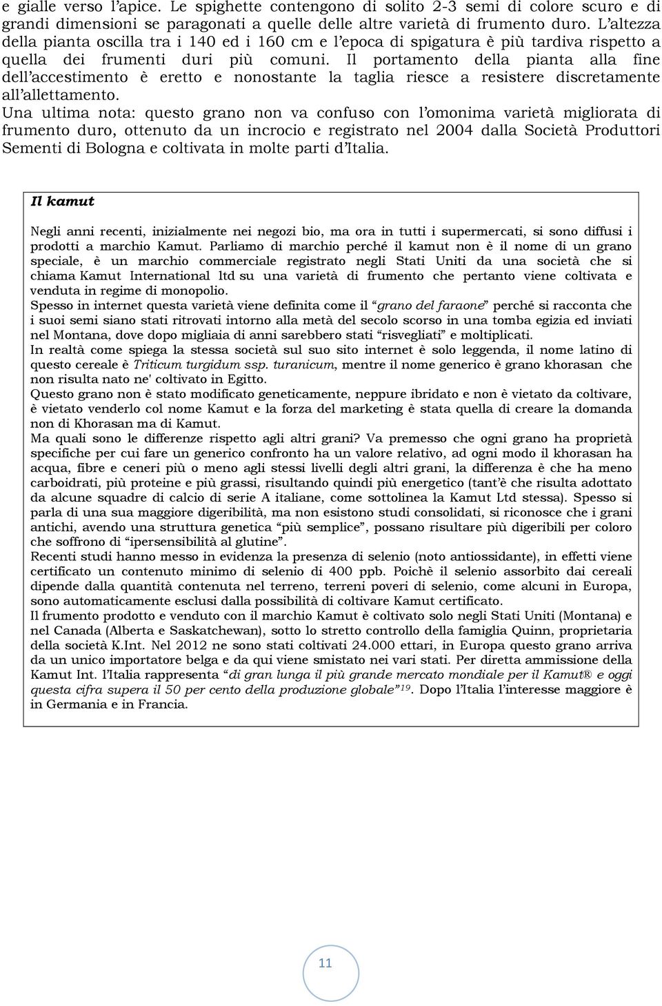 Il portamento della pianta alla fine dell accestimento è eretto e nonostante la taglia riesce a resistere discretamente all allettamento.