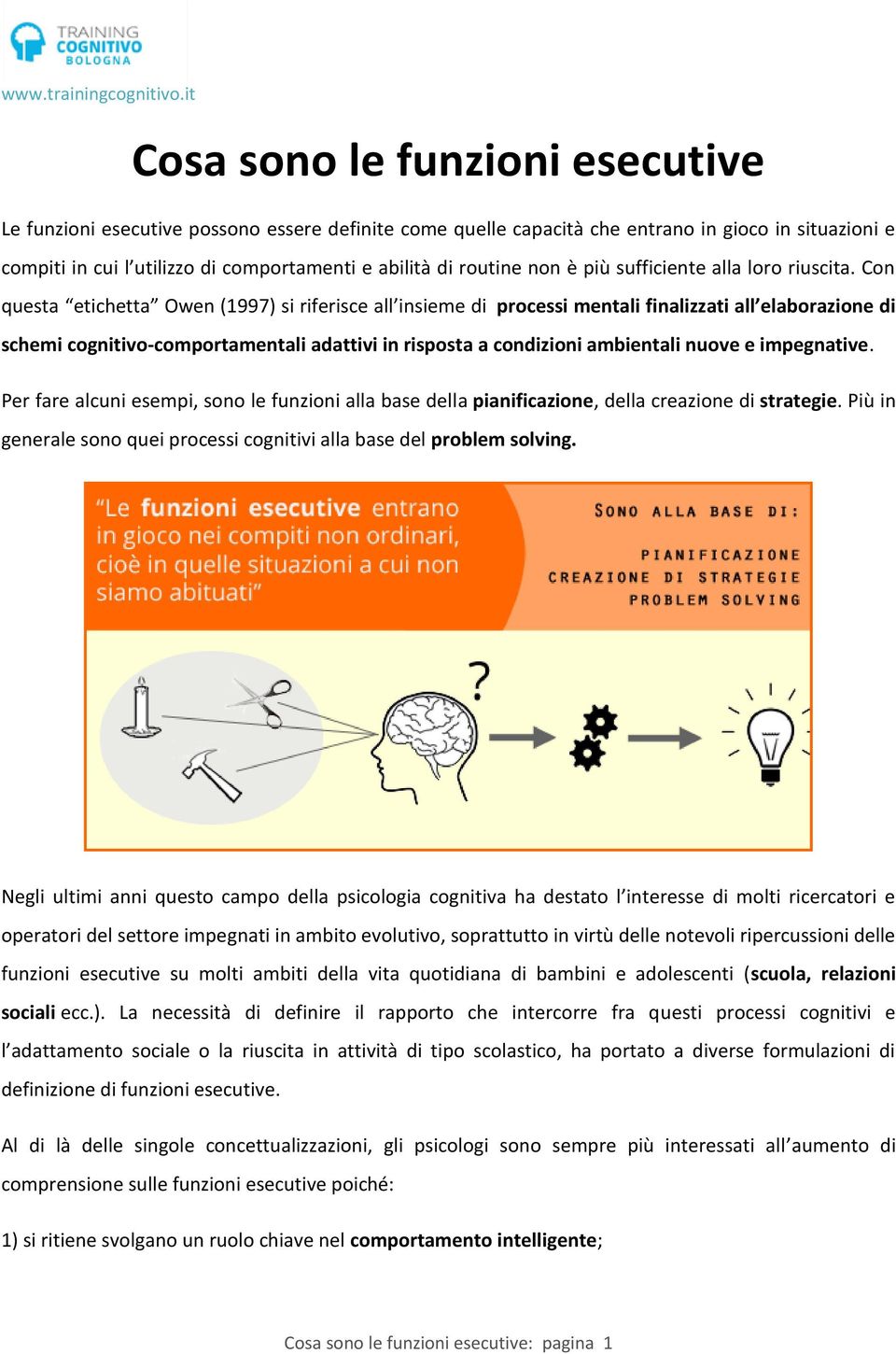 Con questa etichetta Owen (1997) si riferisce all insieme di processi mentali finalizzati all elaborazione di schemi cognitivo-comportamentali adattivi in risposta a condizioni ambientali nuove e