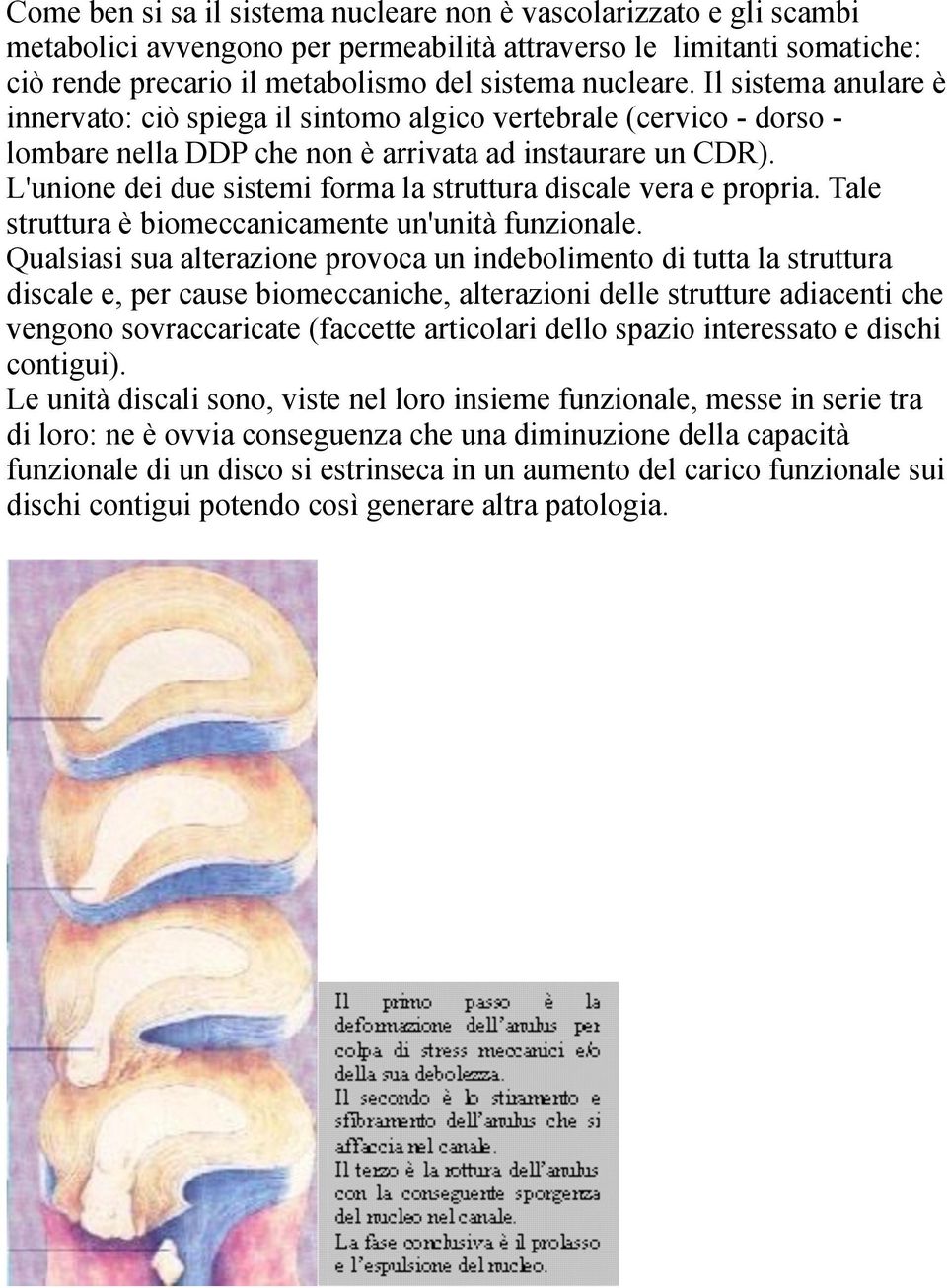 L'unione dei due sistemi forma la struttura discale vera e propria. Tale struttura è biomeccanicamente un'unità funzionale.