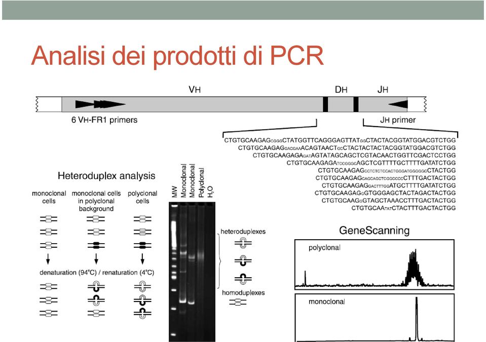 prodotti