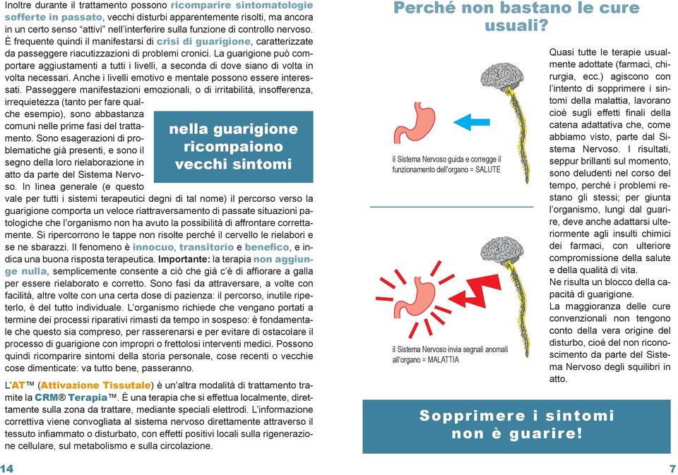 La guarigione può comportare aggiustamenti a tutti i livelli, a seconda di dove siano di volta in volta necessari. Anche i livelli emotivo e mentale possono essere interessati.