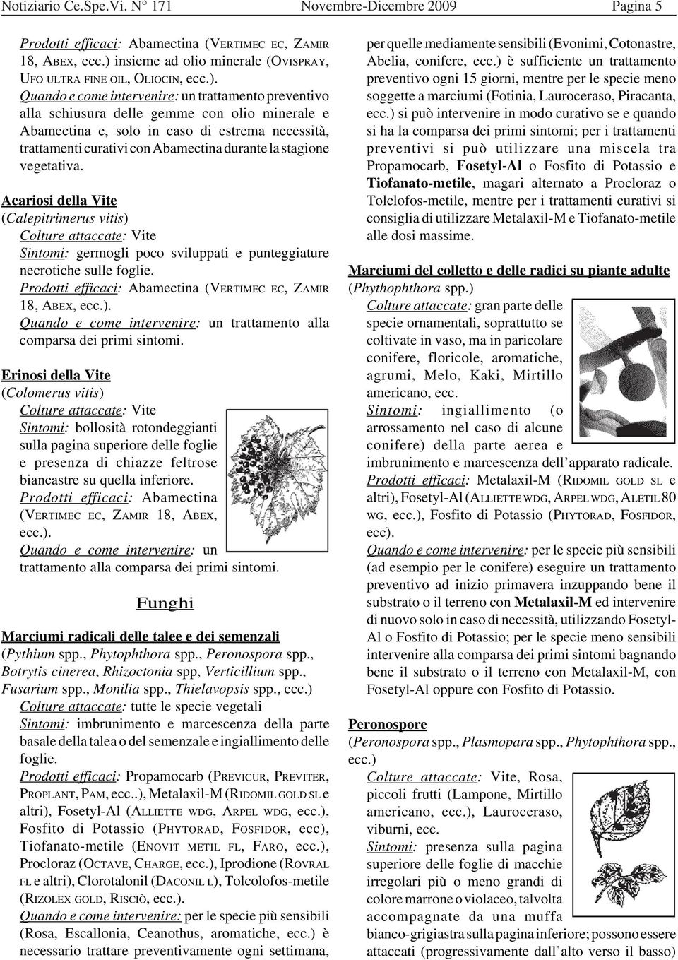 Quando e come intervenire: un trattamento preventivo alla schiusura delle gemme con olio minerale e Abamectina e, solo in caso di estrema necessità, trattamenti curativi con Abamectina durante la