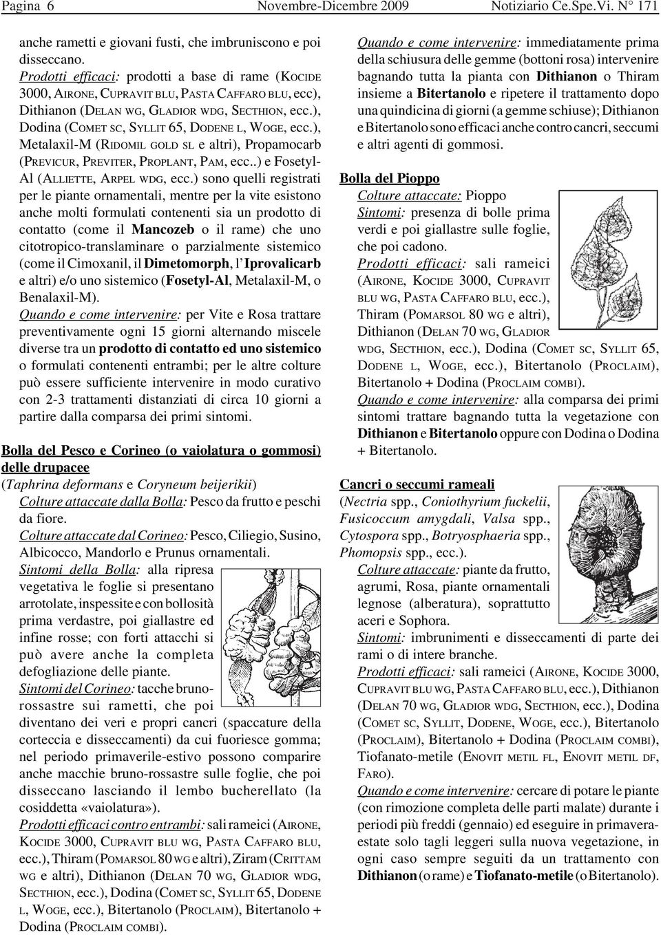 ), Dodina (COMET SC, SYLLIT 65, DODENE L, WOGE, ecc.), Metalaxil-M (RIDOMIL GOLD SL e altri), Propamocarb (PREVICUR, PREVITER, PROPLANT, PAM, ecc..) e Fosetyl- Al (ALLIETTE, ARPEL WDG, ecc.