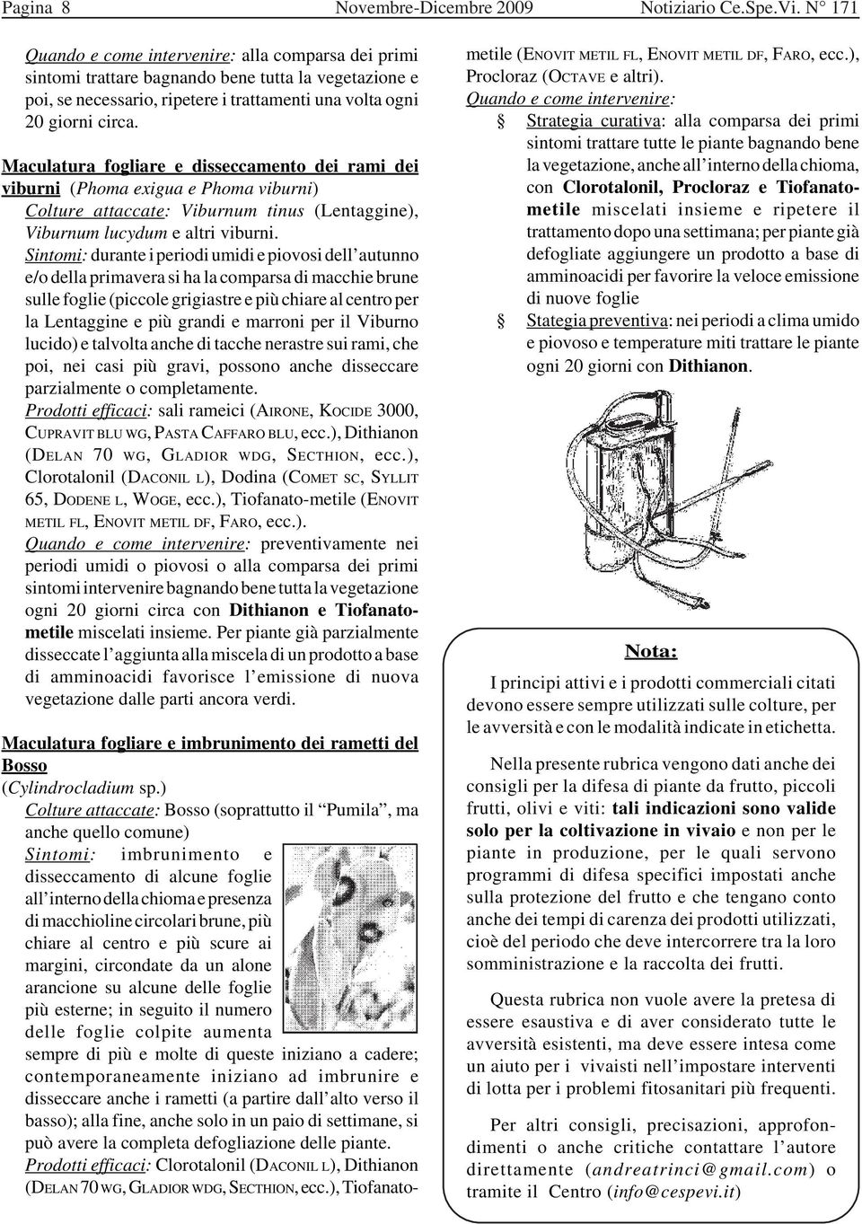 Maculatura fogliare e disseccamento dei rami dei viburni (Phoma exigua e Phoma viburni) Colture attaccate: Viburnum tinus (Lentaggine), Viburnum lucydum e altri viburni.