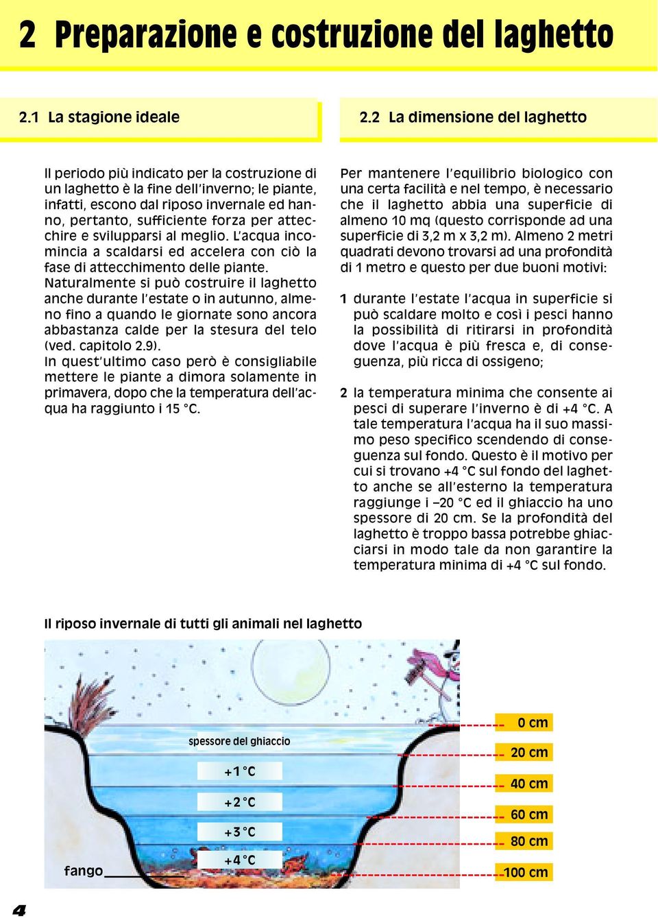 per attecchire e svilupparsi al meglio. L acqua incomincia a scaldarsi ed accelera con ciò la fase di attecchimento delle piante.