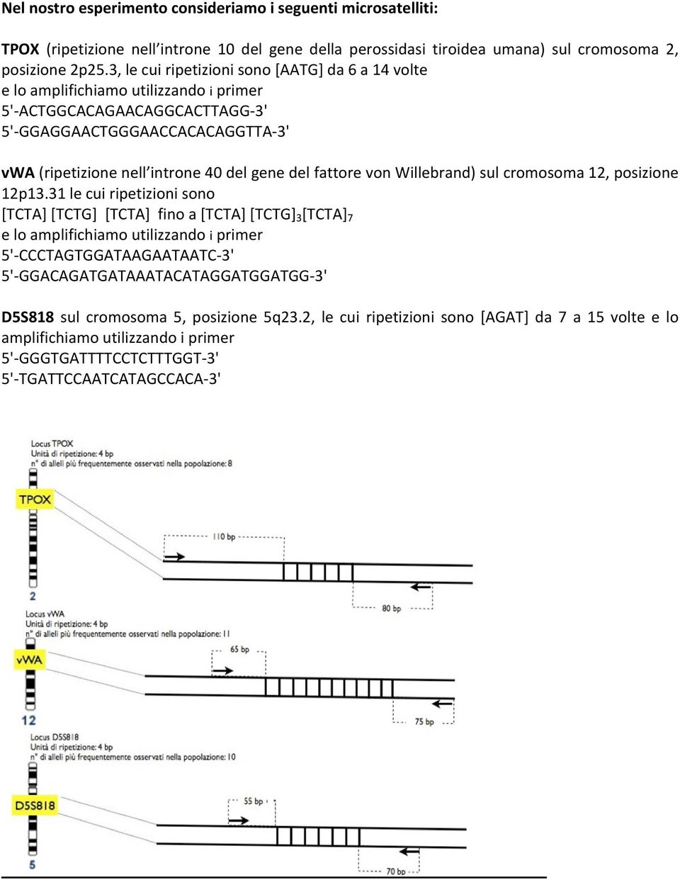 del fattore von Willebrand) sul cromosoma 12, posizione 12p13.
