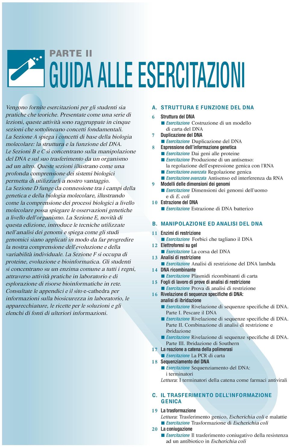 La Sezione A spiega i concetti di base della biologia molecolare: la struttura e la funzione del DNA.