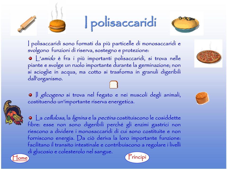 Il glicogeno si trova nel fegato e nei muscoli degli animali, costituendo un importante riserva energetica.