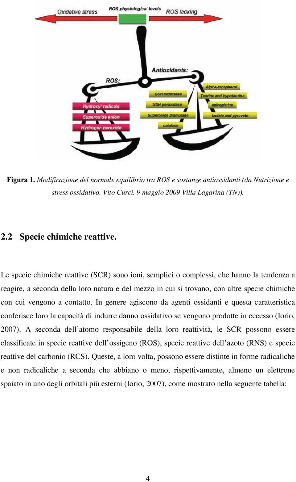 vengono a contatto. In genere agiscono da agenti ossidanti e questa caratteristica conferisce loro la capacità di indurre danno ossidativo se vengono prodotte in eccesso (Iorio, 2007).