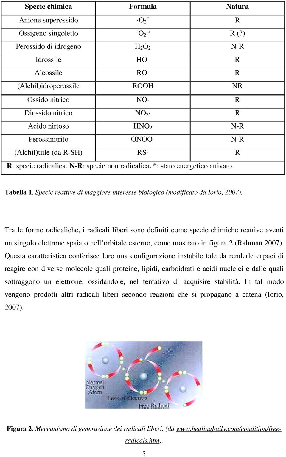 (Alchil)tiile (da R-SH) RS R R: specie radicalica. N-R: specie non radicalica. *: stato energetico attivato Tabella 1. Specie reattive di maggiore interesse biologico (modificato da Iorio, 2007).