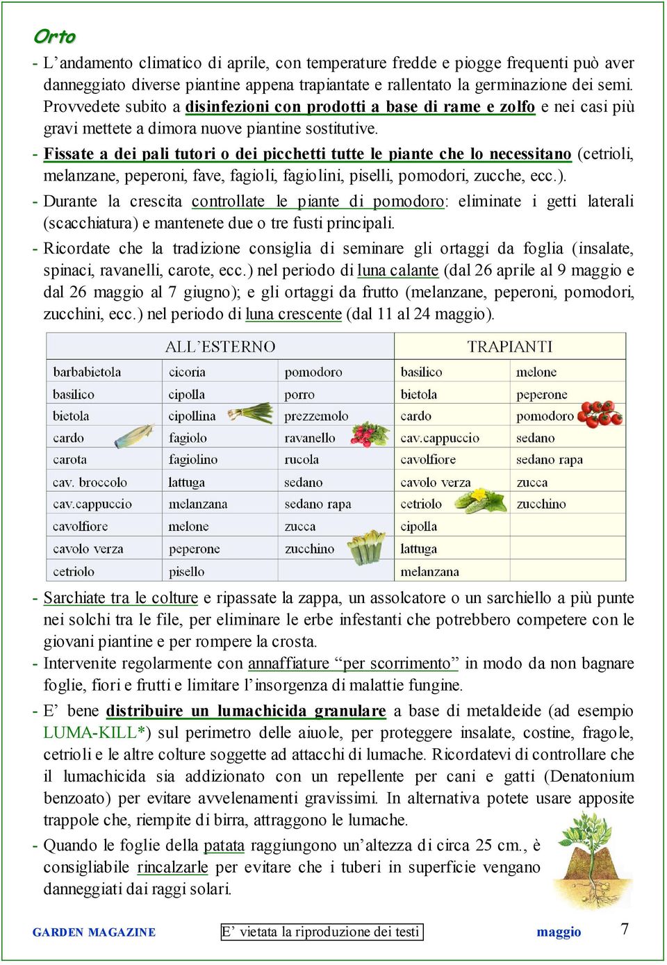 - Fissate a dei pali tutori o dei picchetti tutte le piante che lo necessitano (cetrioli, melanzane, peperoni, fave, fagioli, fagiolini, piselli, pomodori, zucche, ecc.).